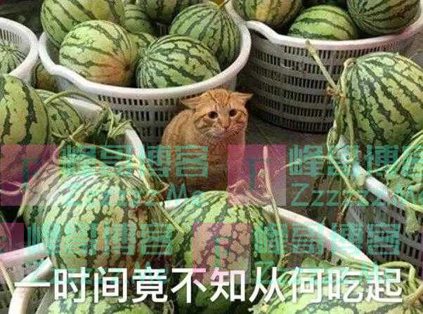 我劝你,不要随便转发“吃瓜”截图