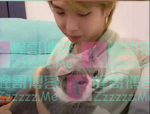 货拉拉程序员开发猫咪情绪识别APP登上热搜，谁说程序员不浪漫