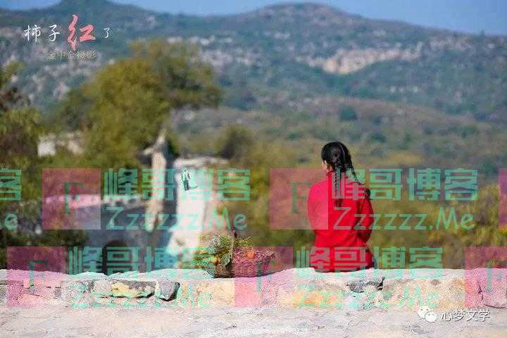 红柳｜八月，娇嗔