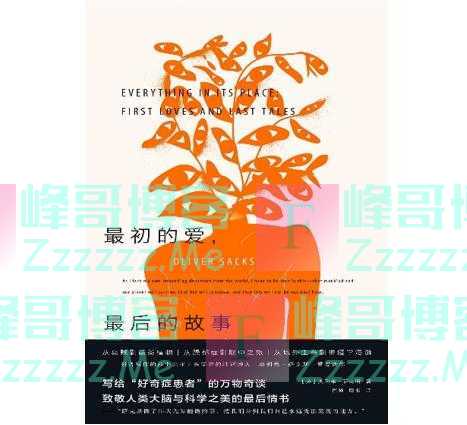 幻觉、狂喜与濒死体验：非理性如何改变了他们的信仰