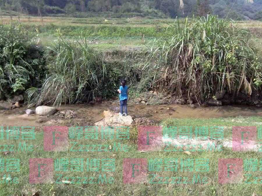 你可以不信，但这是事实：迷恋网游和热爱学习本质上没什么不同！