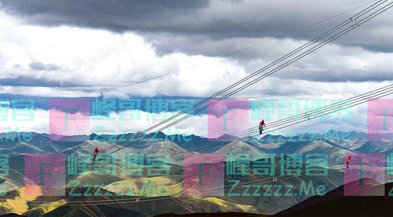 坚持党的领导、加强党的建设是国有企业的“根”和“魂”