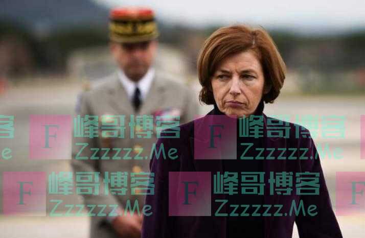 法国防长:北约成员国响应法德两国倡议,同意修改北约战略构想