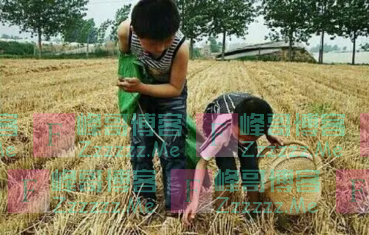 难忘幼时溜庄稼