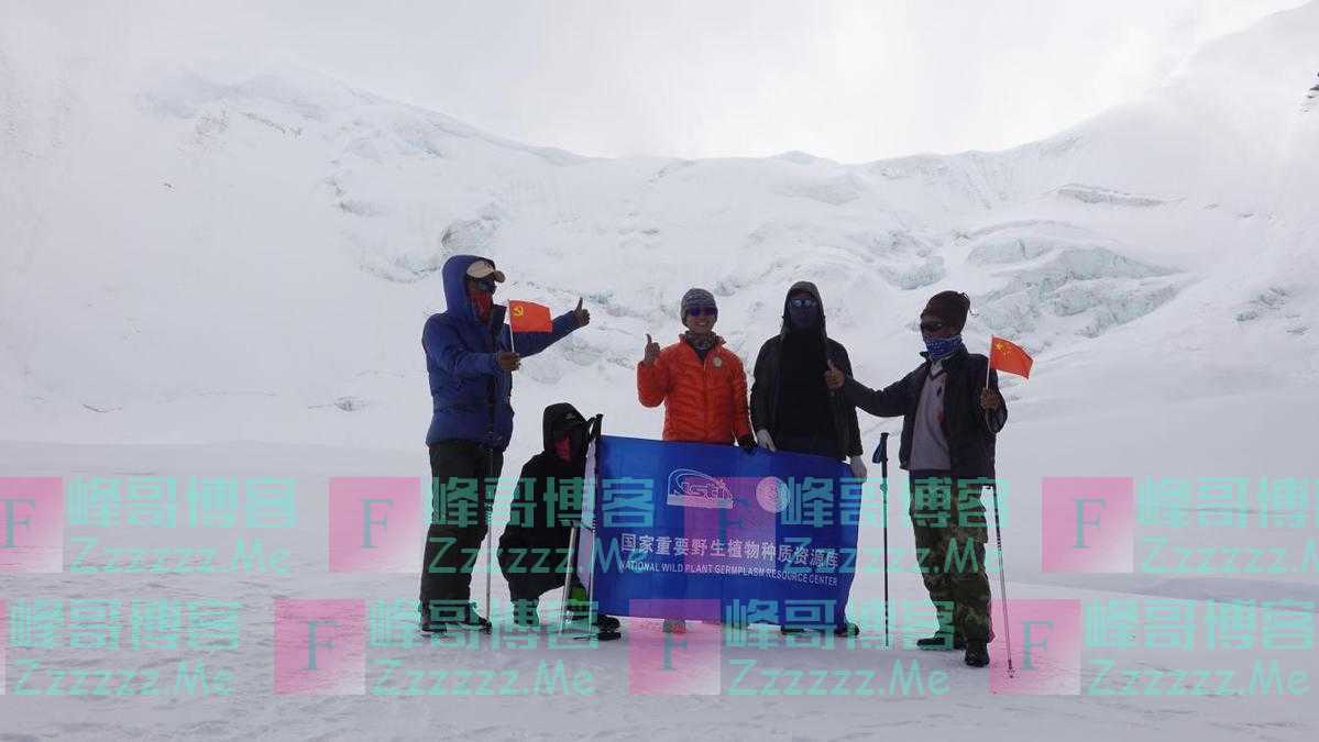 “高山之巅”珠峰高海拔种子采集行动顺利完成