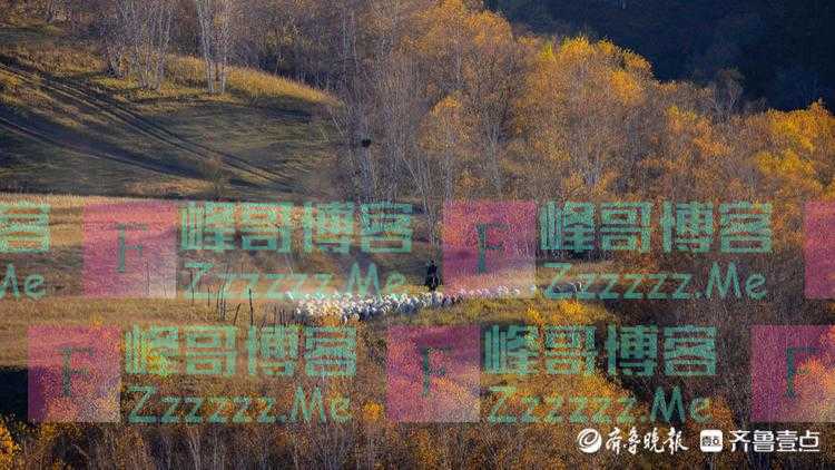 国庆悦｜乌兰布统的蛤蟆坝，美丽如画