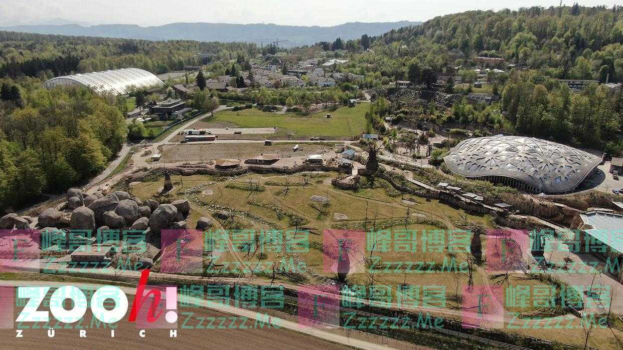 这个理想中的完美动物园，苏黎世想要造出来