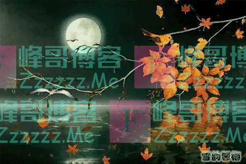 原创｜枫叶心静性闲