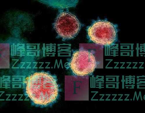 高福：冠状病毒可隐匿数十年 有必要对野生动物大规模筛查