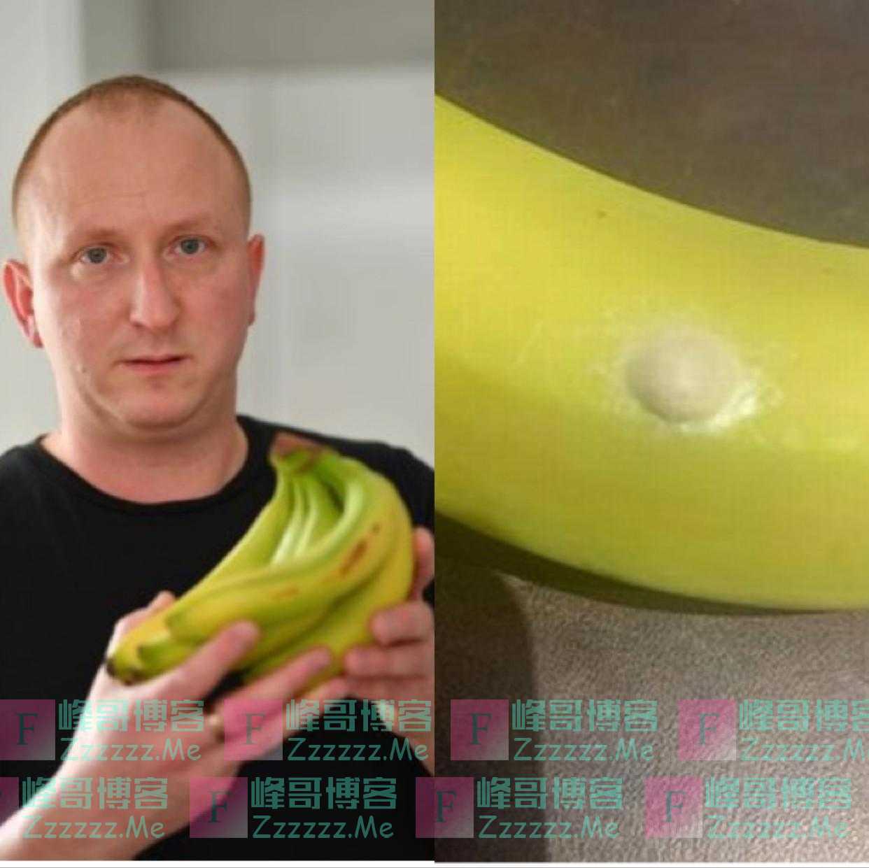 男子在超市购买香蕉 在上面发现剧毒蜘蛛卵