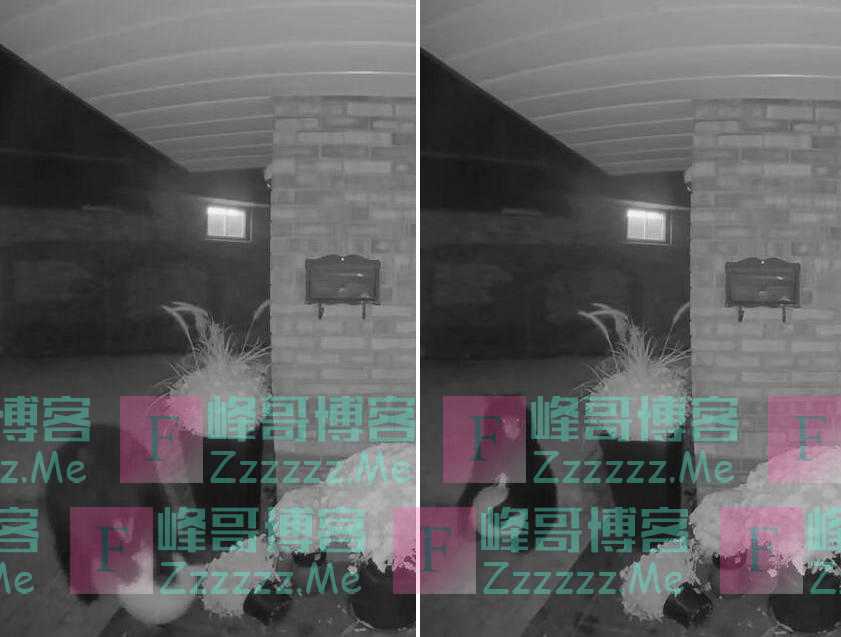 加拿大一黑熊偷吃居民门口的南瓜 结果吃完还抱走一个