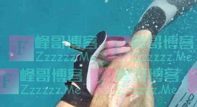 惊险一刻：渔夫被八英尺长鲨鱼咬住腿