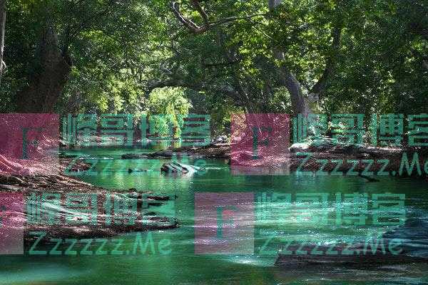 晨读｜恻隐之心