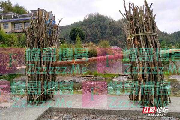 农村娃的童年回忆杀：没有玩具和零食的童年，我们照样很开心