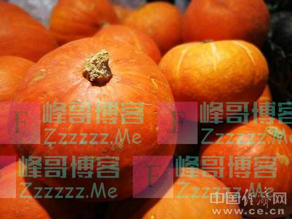 秋天到,南瓜俏 秋食南瓜竟有这么多好处