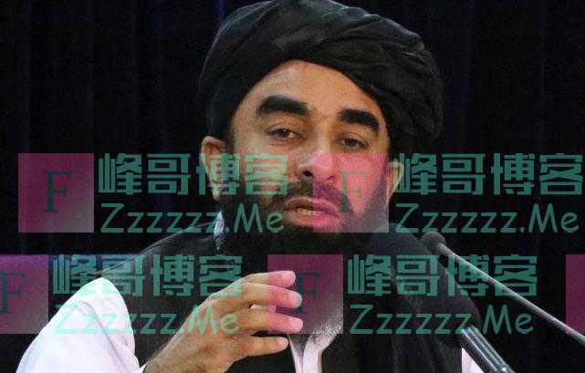 塔利班：阿富汗前政府垮台只给人民带来伤害，一些事情本可以避免