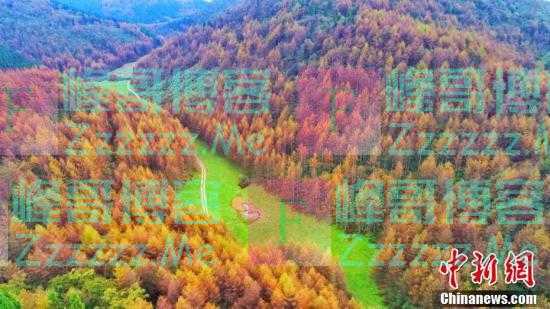 湖北恩施大峡谷：层林尽染 缤纷绚丽