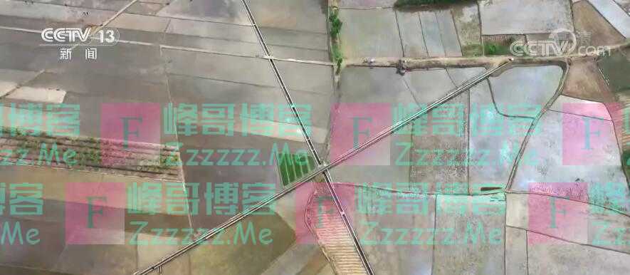 前三季度乡村富民产业发展势头良好