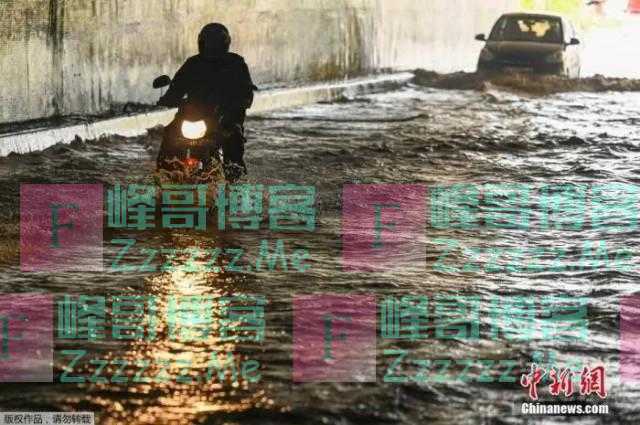 旱、涝、热、雹“四害”横行，印度穷人首当其冲