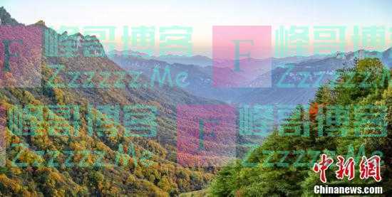 湖北神农架：千山万壑秋尽染