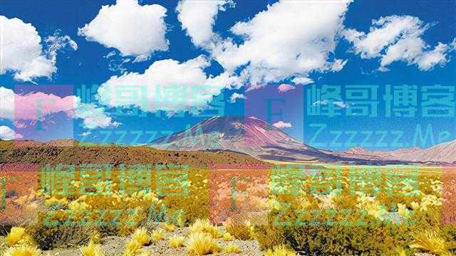 沙漠植被“基因金矿”值得挖掘