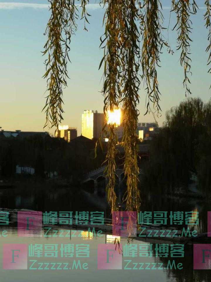 念秋、思秋，秋已过，惟有诗词唱秋歌