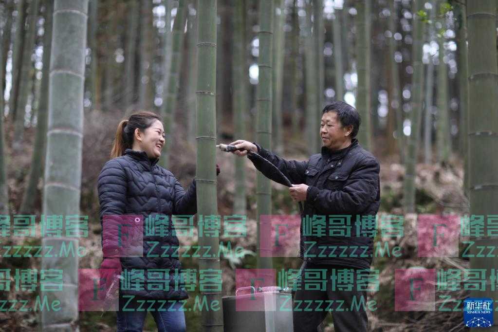 90后苗族女青年 竹酒“种”出致富路