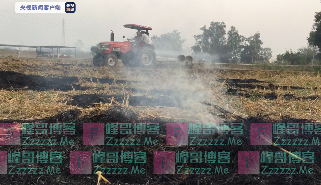 印度北方秸秆焚烧量创2016年以来新高 焚烧季接近尾声