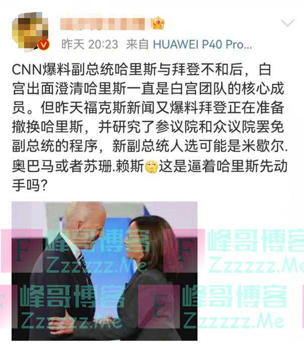 美副总统哈里斯将被抛弃?米歇尔·奥巴马或赖斯接棒?