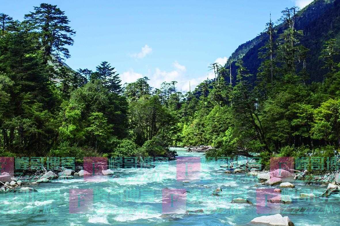 古老稀有的物种、天然的水汽通道、充沛的水资源……在中国藏南秘境感受生物多样性