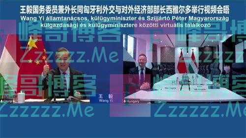 王毅：立陶宛公然对中国发起政治挑衅，形成了恶劣先例