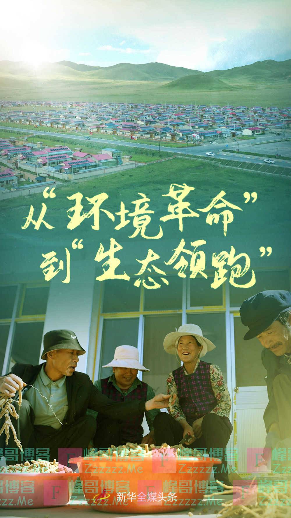 甘南草原，灿若格桑