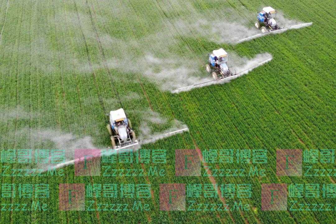 黑龙江“旱改水”、陕西苹果“一路北上”，“种植带北移”带来了啥？