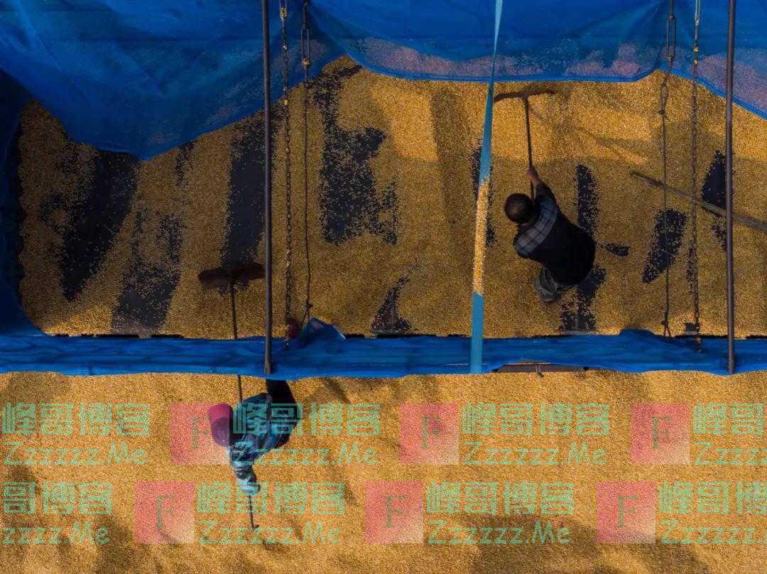 涨涨涨！农民生产生活“双成本”上涨明显，值得警惕！