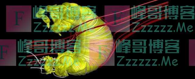 太阳系为何像个“牛角包”