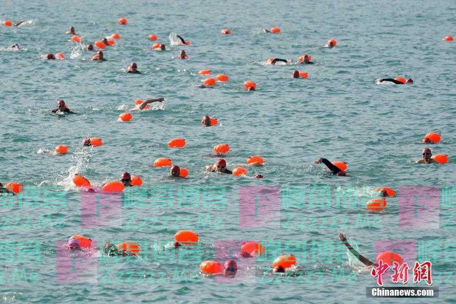 停办两年后香港“维港泳”复办 1200名泳手横渡维港