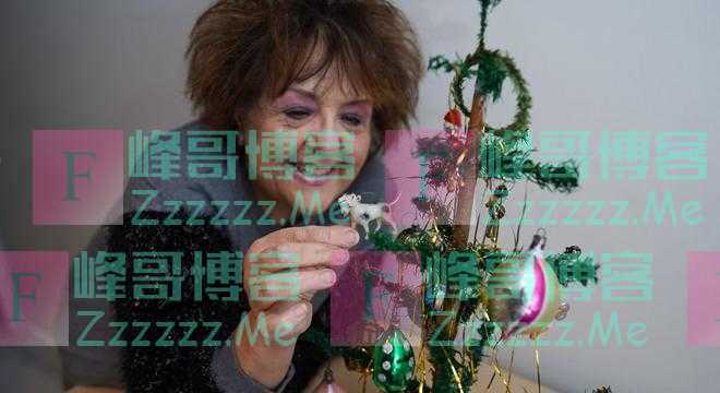 三代传承 英国一人造圣诞树已有101年历史