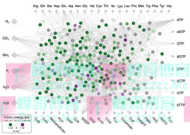 地球生命起源于氢能