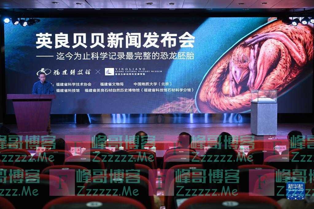我国发现保存在恐龙蛋化石中的完美胚胎