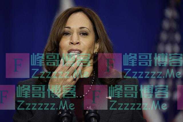美媒：美副总统哈里斯称，假如她是白人就不会有那么多负面报道