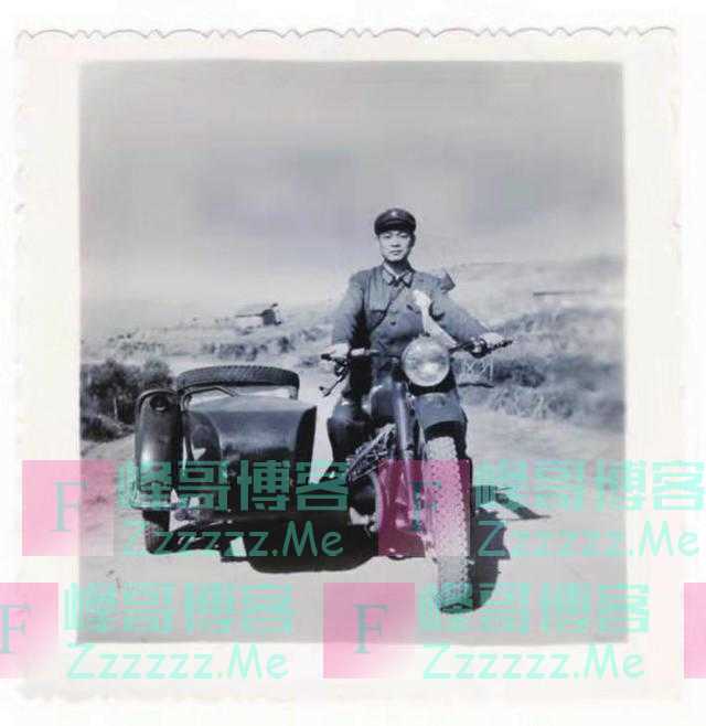 丛林深处的宣誓