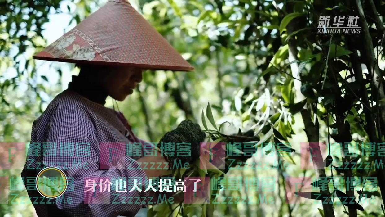 乡村振兴进行曲