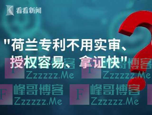 中国专利扎堆荷兰申请 只为薅政府补贴“羊毛”?