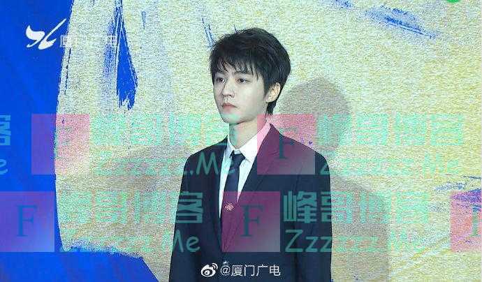 金鸡奖开幕仪式红毯 王俊凯张子枫等率先亮相