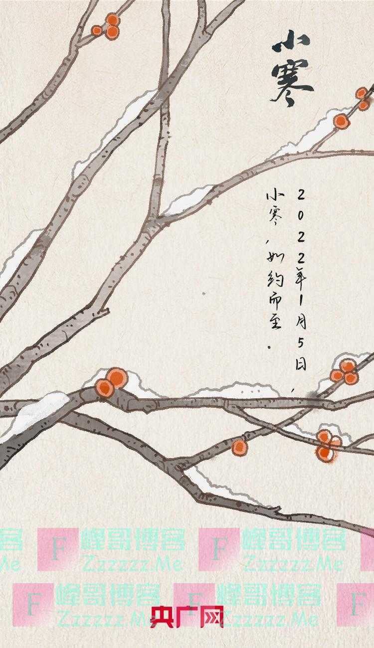 今日小寒丨雁北乡鹊始巢 一番春意换年芳