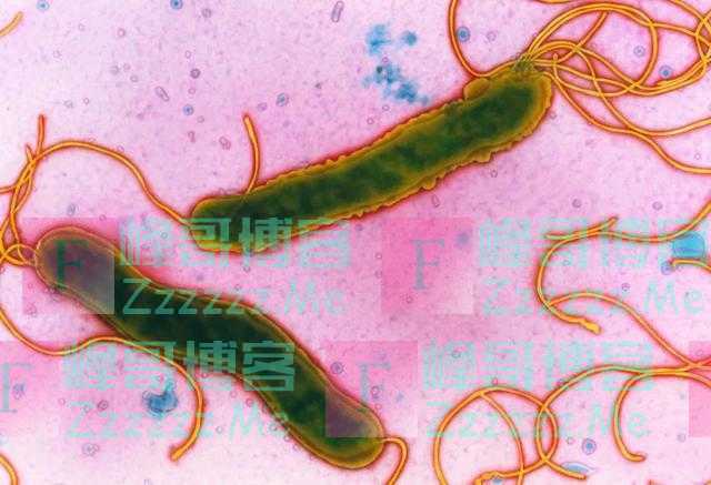 美国将幽门螺旋杆菌列为明确致癌物，中国平均感染率59%