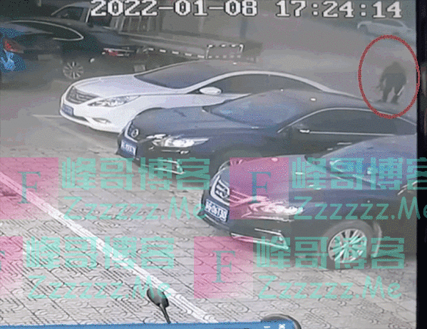 “你们的母亲被好心人找到了!”