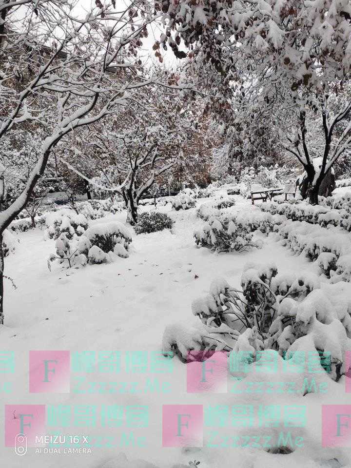 雪中赏雪不觉寒，飘雪悦目梦成仙