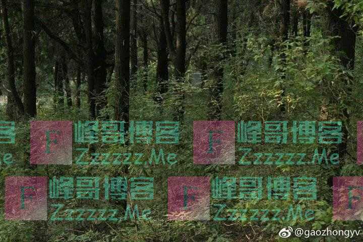闲话说被锅