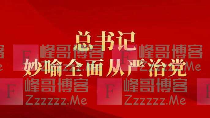 如何全面从严治党?总书记用了这些妙喻